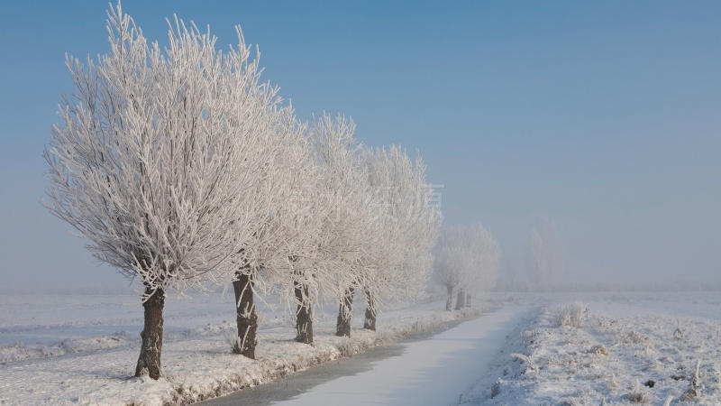 白茫茫雪景桌面壁纸