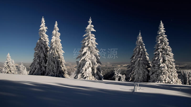 雪景桌面壁纸