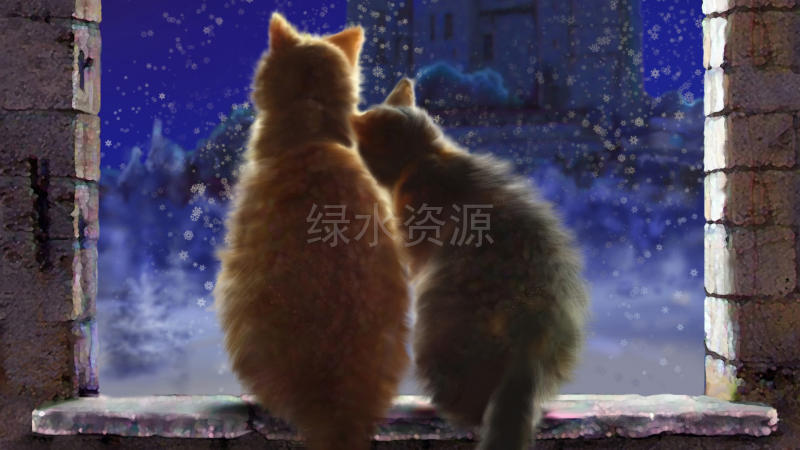 猫夫妇,爱,雪,冬季宽屏壁纸