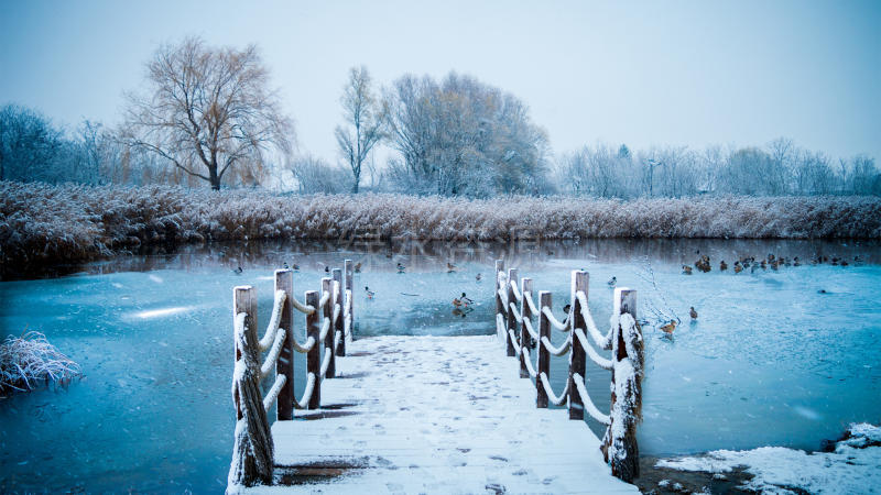 雪 美丽的冬天风景桌面壁纸